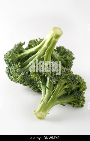 Broccoli (cultivar Calabrese) Foto Stock