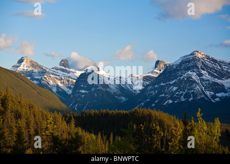 Montare Christie dalla valle Anthabasca e Icefields Parkway Jasper National Park nello stato di Alberta in Canada Foto Stock