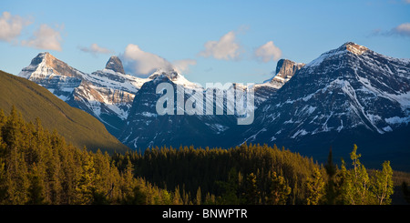 Montare Christie dalla valle Anthabasca e Icefields Parkway Jasper National Park nello stato di Alberta in Canada Foto Stock