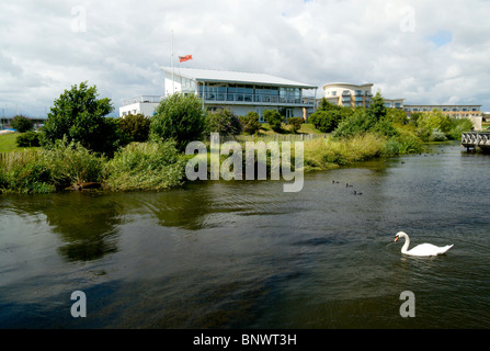 Swan Cardiff Bay con cardiff yacht club edificio di distanza cardiff South wales uk Foto Stock