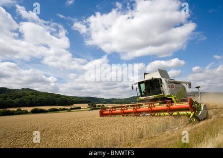 Mietitrebbia in un campo del Sussex Foto Stock