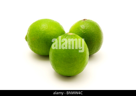 Limes persiano su sfondo bianco Foto Stock