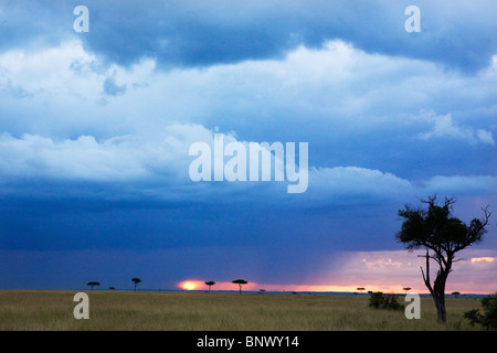 Nuvole temporalesche oltre il Masai Mara Kenya Foto Stock