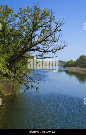 Fiume Ropotamo, riserva sulla costa del Mar Nero, Balcani, Bulgaria Foto Stock