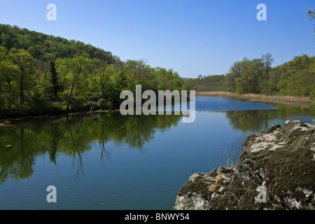 Fiume Ropotamo, riserva sulla costa del Mar Nero, Balcani, Bulgaria Foto Stock