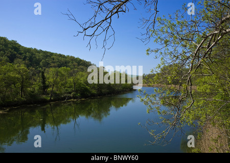 Fiume Ropotamo, riserva sulla costa del Mar Nero, Balcani, Bulgaria Foto Stock