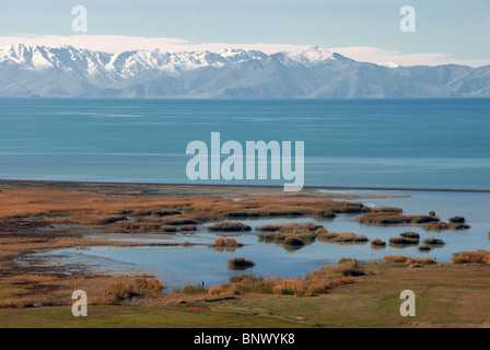 Vista del lago Van con vulcano Suphan Dagi in background, Van provincia, Turchia orientale Foto Stock