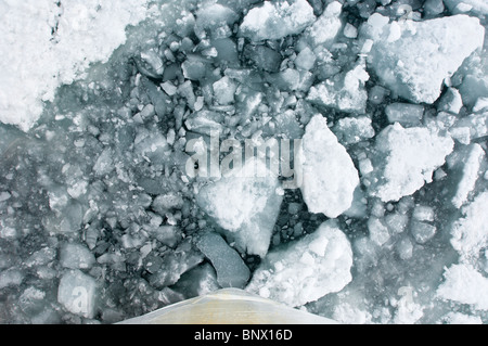 Rompere il ghiaccio in Leifdefjord arcipelago delle Svalbard, Norvegia. Foto Stock