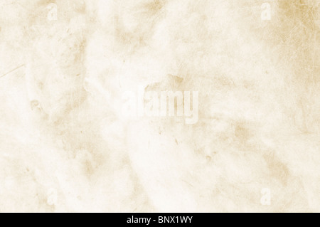 Textured chiaro sfondo beige con spazio per testo o immagine - scrapbooking Foto Stock