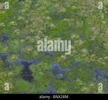 Vista aerea al di sopra dell'olio sheen Mississippi River delta vicino a New Orleans Foto Stock