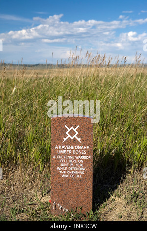 Marcatore sul posto dove un combattente indiano è stato ucciso a Little Big Horn Battlefield National Monument, Montana. Foto Stock
