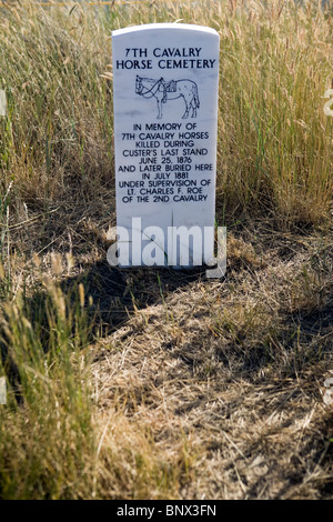 I marcatori in memoria dei cavalli uccisi a Little Big Horn Battlefield National Monument, Montana. Foto Stock