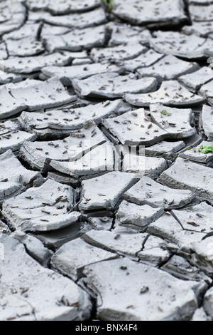 Asciugare incrinato fango di argilla durante una recente siccità. Foto Stock