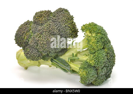 Broccoli freschi isolati su sfondo bianco. Foto Stock