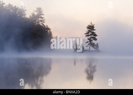 Una nebbiosa mattina autunnale sul lago silenzioso, Ontario. Foto Stock