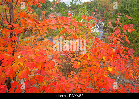 A. Y. Jackson Lookout ad alta cade sul fiume Onaping, Sudbury, Ontario, Canada. Foto Stock