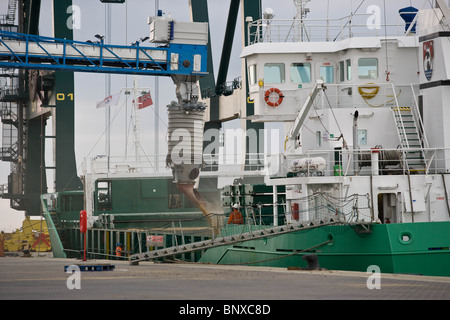 Barca di grano essendo caricati a Great Yarmouth terminale di granella Foto Stock