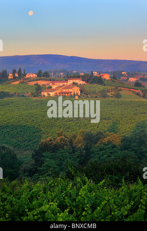 Il vino è cresciuto quasi ovunque sulle colline circostanti la città toscana di San Gimignano Foto Stock