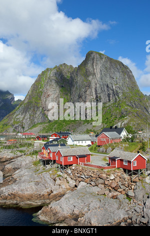 Villaggio Hamnøy, isole Lofoten in Norvegia, Foto Stock