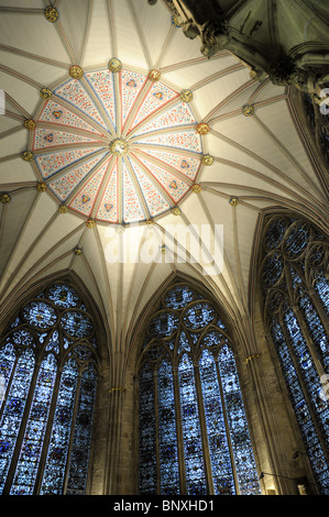 La Sala Capitolare in York Minster in York Foto Stock