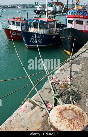 Barche da pesca ormeggiate ad un ferro da stiro bollard sulla banchina del porto di Skerries, regione settentrionale della contea di Dublino, Irlanda Foto Stock