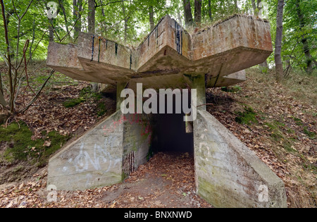 Resti di una fabbrica di dinamite della Dynamit Nobel AG Doemitz, Meclemburgo-Pomerania Occidentale, Germania, Europa Foto Stock