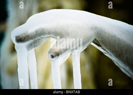 Mano di marmo di statua incrostato con ghiaccio Foto Stock