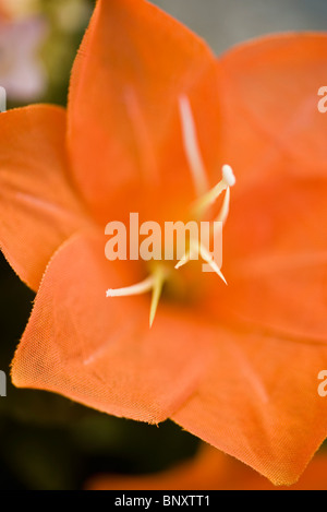 Fiori di seta, close-up Foto Stock