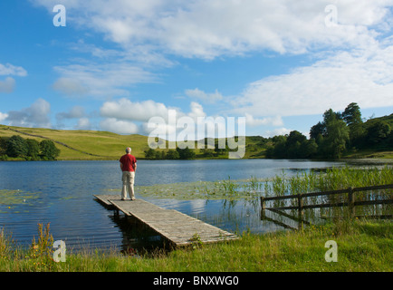Uomo in piedi sul molo, Bigland Tarn, vicino a Newby Bridge, Parco Nazionale del Distretto dei Laghi, Cumbria, England Regno Unito Foto Stock
