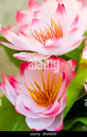 Fiori di seta, close-up Foto Stock