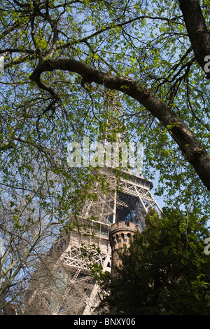 Torre Eiffel, Parigi, Francia, a basso angolo di visione si vede attraverso foglie di albero Foto Stock