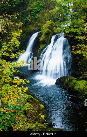 Forza Colwith cascata sul fiume Brathay nel Parco nazionale del Lake District vicino Colwith, Cumbria, Inghilterra. Foto Stock