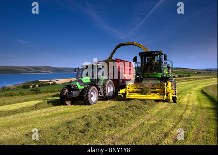 Insilato sulla costa di Loch Ryan vicino a Stranraer con Deutz Fahr trattore e John Deere il trinciapaglia Foto Stock