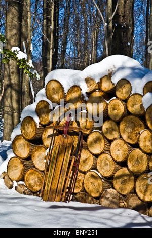 Vintage slitta in legno vicino fino contro tagliare tronchi di legno dopo una tempesta di neve in una fattoria in Monroe Twp., New Jersey, Stati Uniti d'America, foresta di alberi immagini neve vintage Foto Stock