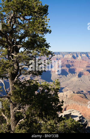 Parco Nazionale del Grand Canyon USA - da south rim trail opinioni tra deserto e vista Yavapai vista. Foto Stock