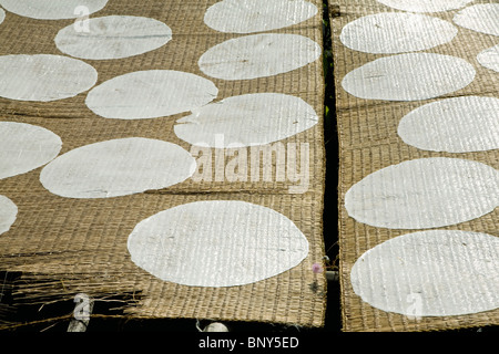 Produzione artigianale di noci di cocco riso fogli, fogli essiccamento in sun Foto Stock