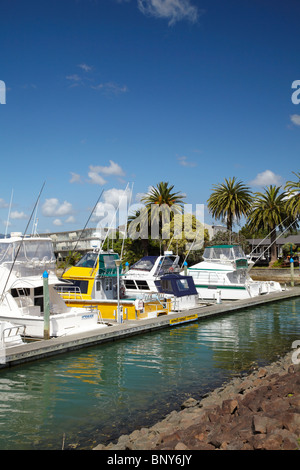 Whitianga Marina, Whitianga, Penisola di Coromandel, Isola del nord, Nuova Zelanda Foto Stock