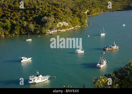 Barche ormeggiate in Back Bay, Whitianga Harbour, Whitianga, Penisola di Coromandel, Isola del nord, Nuova Zelanda Foto Stock