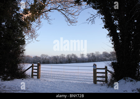 Gateway tramite siepe su campi aperti nella neve profonda, Kidmore End Lane, Sonning comune, Oxfordshire, England, Regno Unito Foto Stock