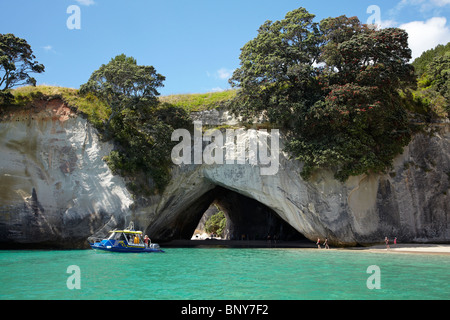 In barca dal fondo di vetro, Cove della cattedrale, Penisola di Coromandel, Isola del nord, Nuova Zelanda Foto Stock