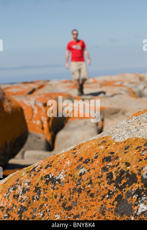 Maschio in t-shirt rossa passeggiate attraverso il lichen ricoperta di rocce. Foto Stock