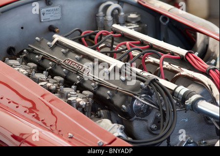 Maserati 250F racing auto motore2010 Silverstone Classic, REGNO UNITO Foto Stock