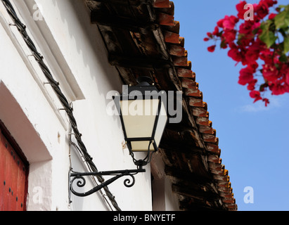 Andalucia architettura tetti in terracotta via lampada cavi esposti bianco delle case bougainvillea pueblo blanco Foto Stock