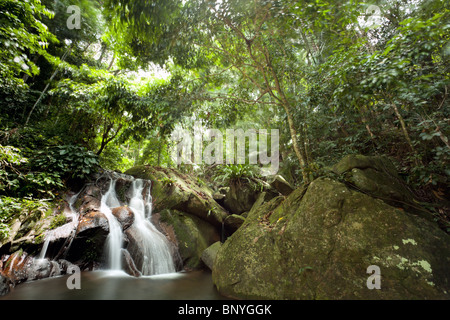 Cascata in Isola di Tioman jungle, Malaysia Foto Stock