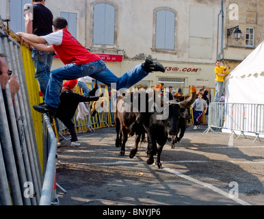 Arles, la Francia, i turisti in visita a Feria Corrida Corrida Festival Foto Stock