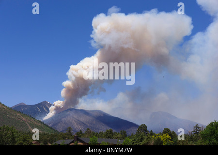 Flagstaff in Arizona Schultz mountain forest fire Giugno 2010 giornata finale con elicottero di controllo. Foto Stock