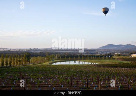 Mongolfiera Volare sopra i vigneti. La Hunter Valley, Nuovo Galles del Sud, Australia Foto Stock