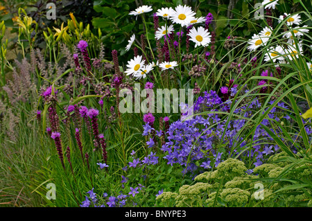 Un colorato mista confine di fiori in un giardino cottage Foto Stock