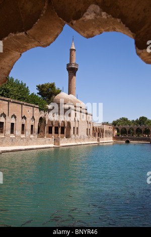 Pool di Abramo o Balikli Gol e Halil ur Rahman moschea di Sanliurfa ovvero Urfa, Turchia Foto Stock