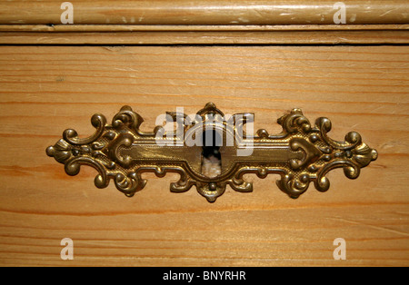 Un ornati in blocco in ottone su un pino antico cassettiera Foto Stock